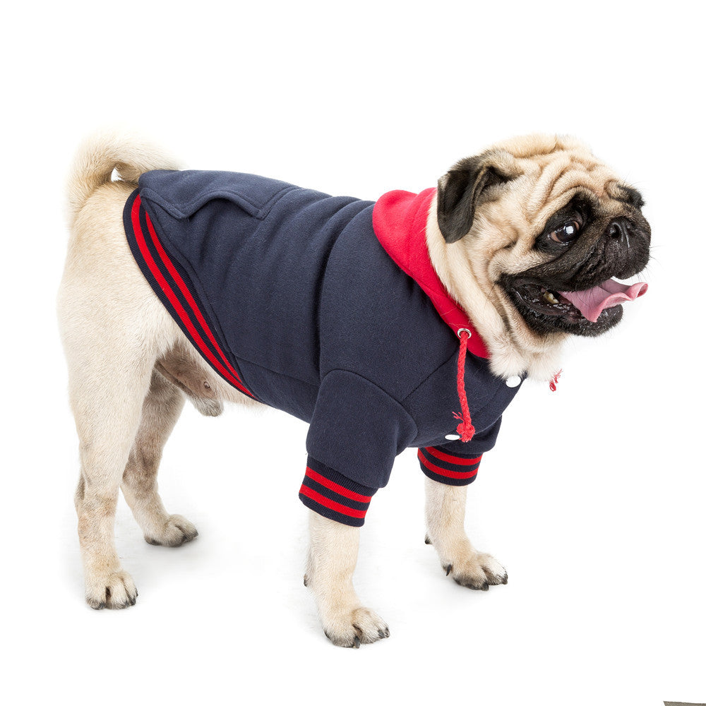 High End Pet Clothes