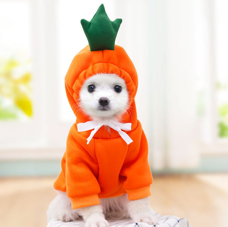 Fruit Dog Clothes