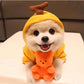 Fruit Dog Clothes