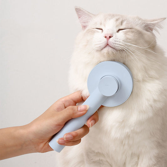 Cat Hair Brush