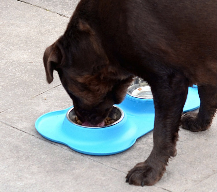 Dog Bowls