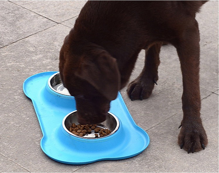 Dog Bowls