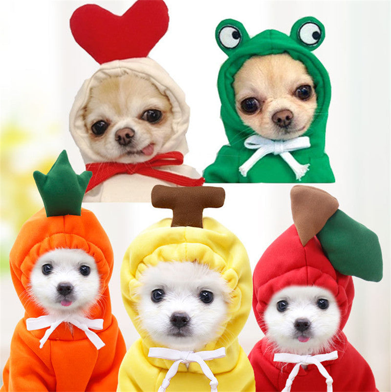 Fruit Dog Clothes